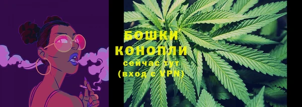 спиды Аркадак